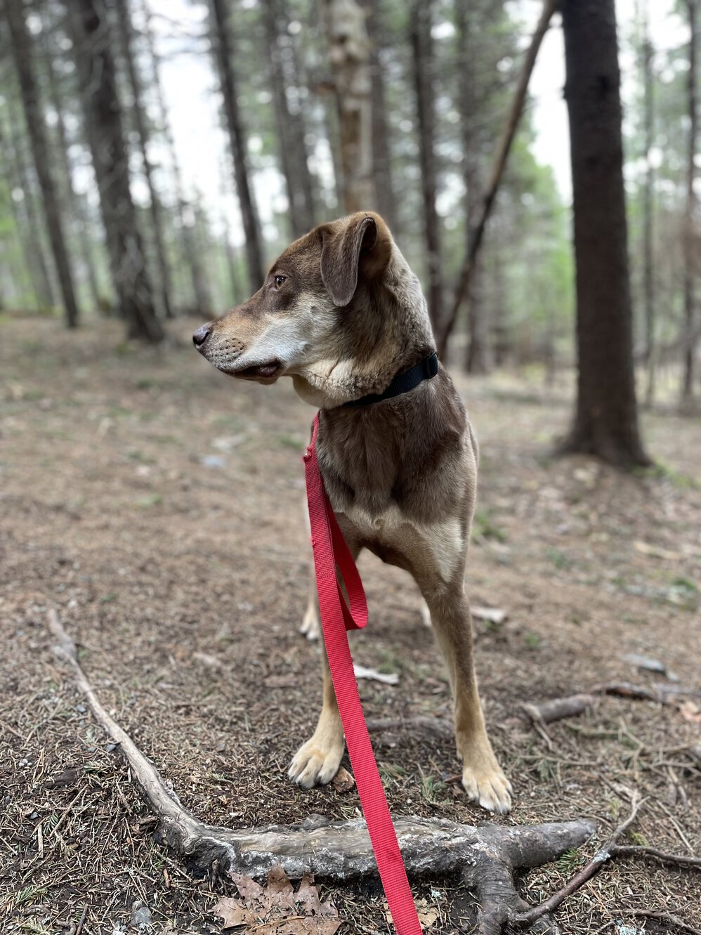 Point Pleasant Park for the first time!